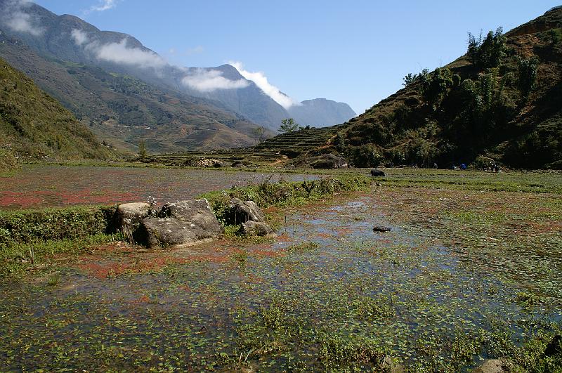 Sapa 7.JPG